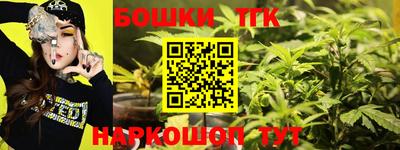 стафф Будённовск