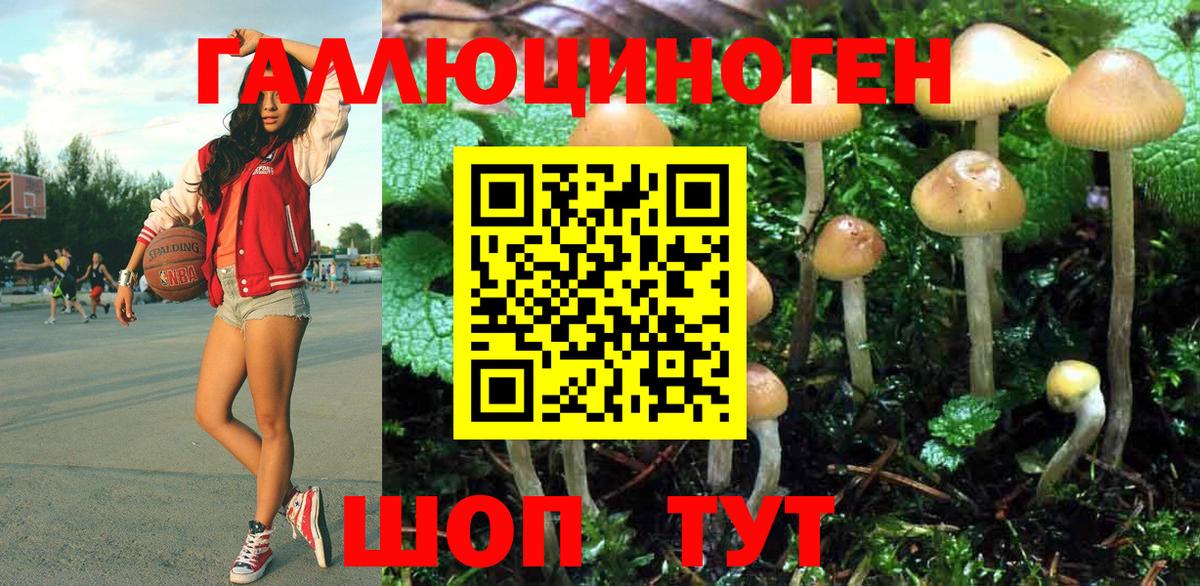 Сегежа  Галлюциногенные грибы MAGIC MUSHROOMS  Вход с VPN 